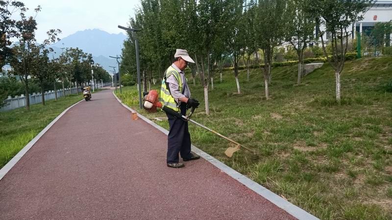 绿化养护